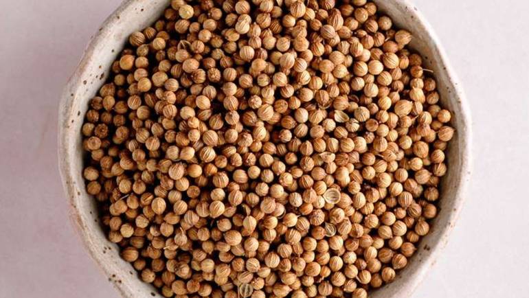 Coriander (Ketumbar)